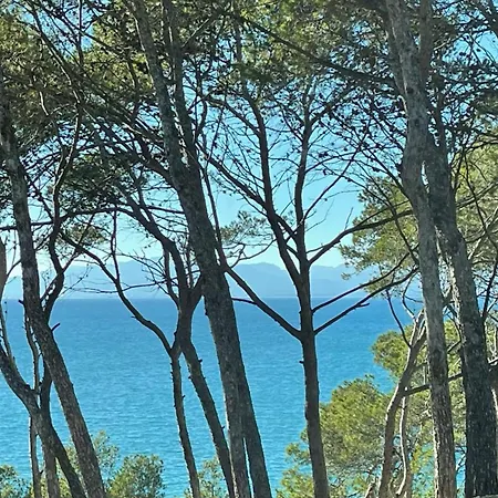 Cap Mar *