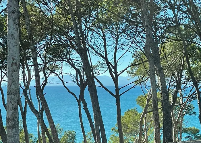 Cap Mar *